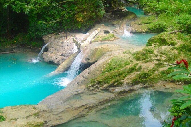 Appleton Estate ,YS Falls, black river Safari private tour - Practical Details and Value