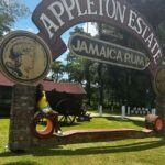 Appleton Rum Factory and Black River Safari Tour - Who Should Consider This Tour?