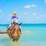 Aqua Fun Tours Dunns Falls, River Tubing and Horse Back - Authentic Insights from Reviewers