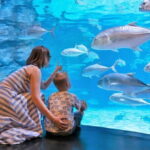 Aquaria Phuket and 4D Trickeye Museum Experience Ticket - What to Expect at Each Stop