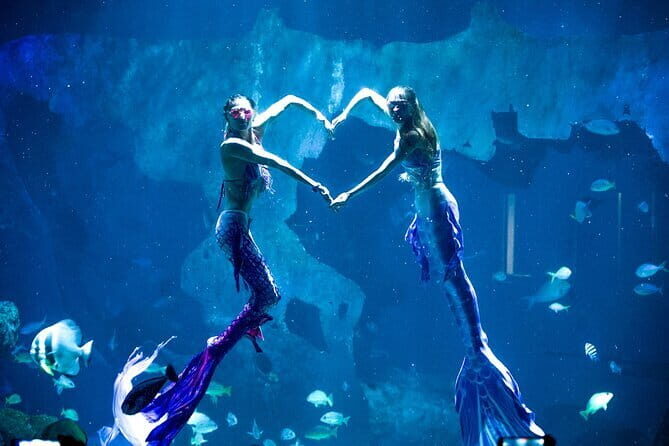 Aquaria Phuket and 4D Trickeye Museum Experience Ticket - Practical Details: Pricing, Timing, and Tips