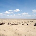 Aral Sea Tour with Khiva-Samarkand and Bukhara and Tashkent - Bukhara’s Historical Heart and the Famous Registan