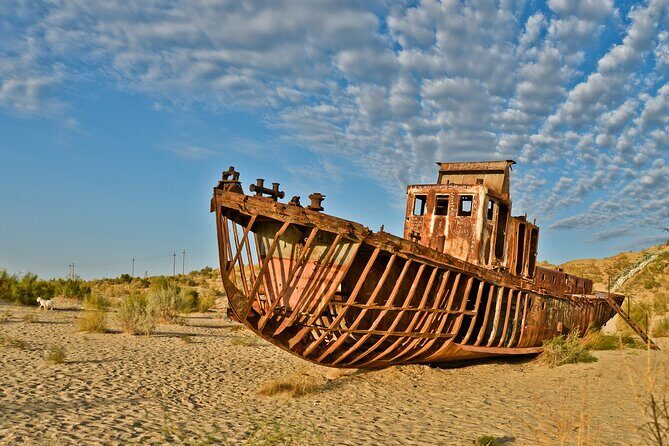 Aral Sea Tour with Khiva-Samarkand and Bukhara and Tashkent - What Makes This Tour Valuable