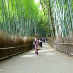 Arashiyama Highlights with Matcha Experience - The Art of the Tea Ceremony: A Cultural Deep Dive