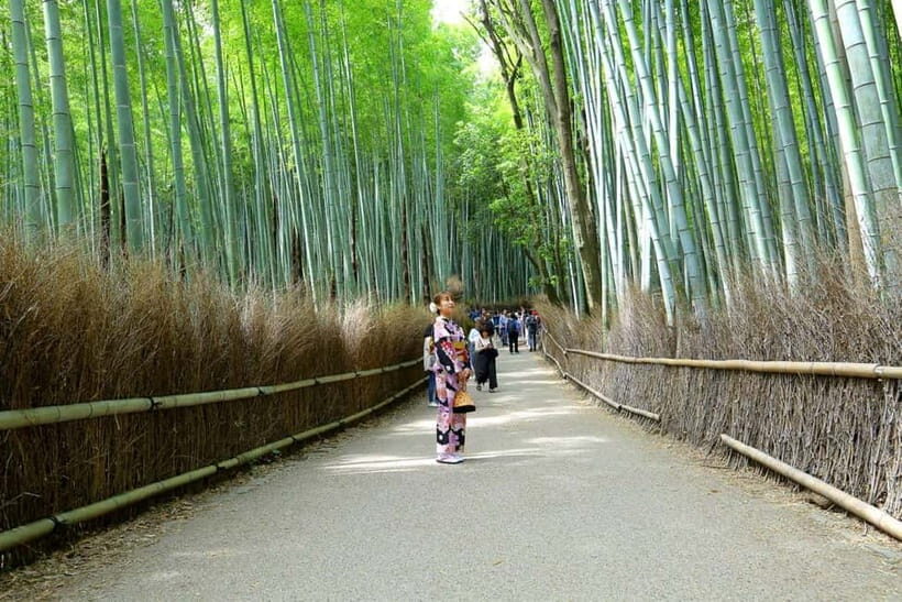 Arashiyama Highlights with Matcha Experience - The Art of the Tea Ceremony: A Cultural Deep Dive