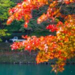 Arashiyama Sanzen-In Temple & Sagano Train Tour from Osaka - Who Is This Tour Best For?