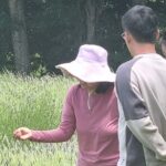 Arataki Conservation - our Journey to Protect our Whenua (land) - Practical Details and What to Expect