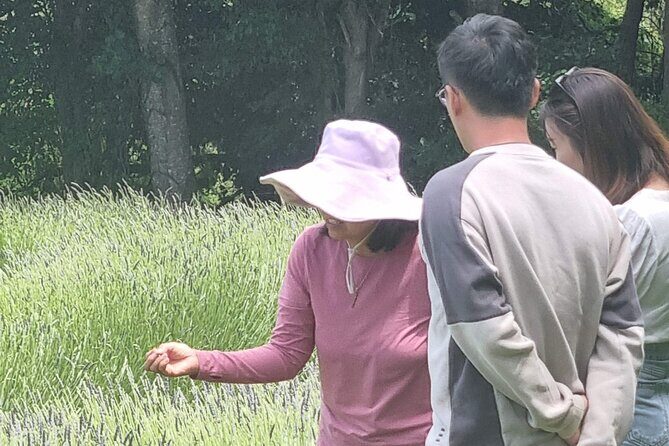 Arataki Conservation - our Journey to Protect our Whenua (land) - Practical Details and What to Expect