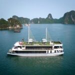 Arcady Halong 5 Star Day Cruise: Buffet Lunch and Sunset Party - Who Should Book This Tour?