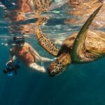 Ariki Adventures: Premium Sea Scooter Turtle Adventure - The Value: Is It Worth the Price?