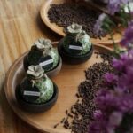 Aromatherapy Massage - What to Expect from the Aromatherapy Massage