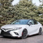 Arrival Transfer from BKK Airport to Bangkok Hotel - What You Receive—Extras that Make a Difference