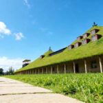 Art and Cultural Odyssey in Kansai - Practical Details: What You Need to Know