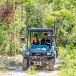 Art And Forest Way Half Day Tour - The Observation Tower and Panoramic Views