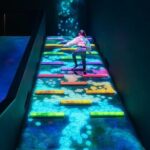 Art Science Museum Entry Ticket at Marina Bay Sands - What You Can Expect Inside the ArtScience Museum