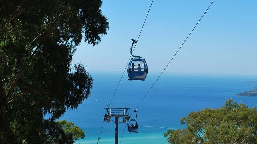 Arthurs Seat Eagle: Scenic Gondola Ride - The Experience at a Glance: What to Expect
