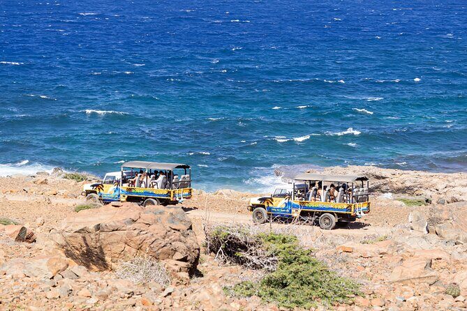 Aruba Cave Pool and Secret Beach Safari Tour - Why This Tour Works Well for Travelers