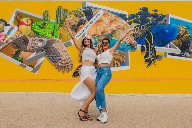 Aruba Natural Pool & Natural Bridge Off-Road Adventure - Who Is This Tour Best Suited For?