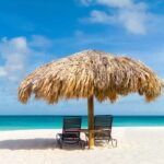 Aruba Private Tour with SeaFood/Caribbean Food Included - Final Thoughts