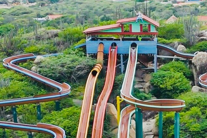 Aruba Waterpark Daypass - Practical Details and What They Mean for You