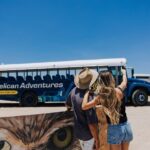 Aruba with Bus and Hop-on Hop-off Tour - What to Expect at Each Stop