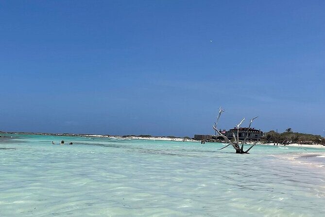 Aruban Local Lunch and Baby Beach Snorkeling - The Snorkeling Experience: What Travelers Say