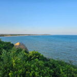 Arugam Bay: Elephant Rock Sunrise or Sunset Tour with Meals - The Experience in Detail