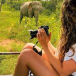 Arugam Bay to Mirissa Shuttle and Safari Drive - FAQ