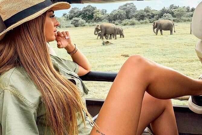 Arugam Bay to Mirissa Shuttle and Safari Drive - An In-Depth Look at the Itinerary