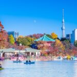 Asakusa and Ueno Half Day Tour with Local Guide - What Sets This Tour Apart