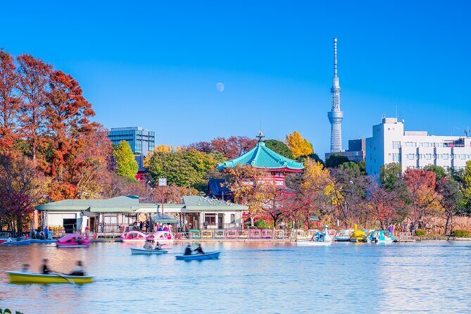 Asakusa and Ueno Half Day Tour with Local Guide - What Sets This Tour Apart