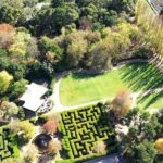 Ashcombe Maze & Lavender Gardens - Who Will Love Ashcombe Maze & Lavender Gardens?