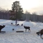 Astana: Burabay Nature, Wine, Cheese, and Horseback Ride - What Makes This Tour Stand Out?