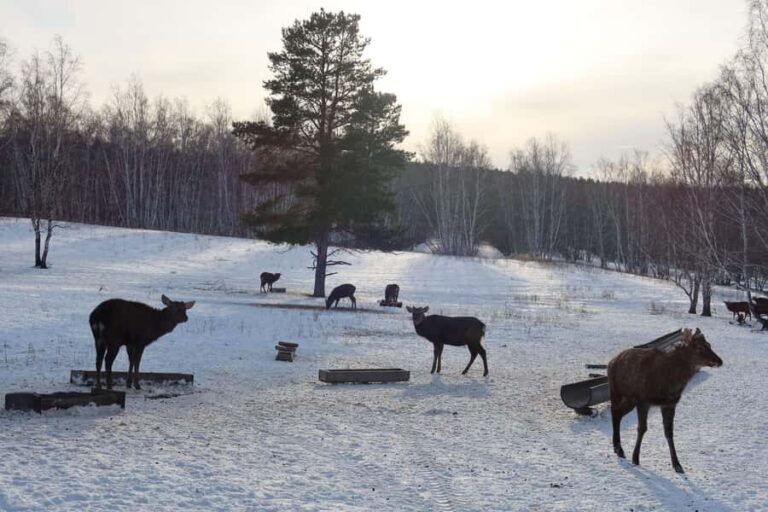 Astana: Burabay Nature, Wine, Cheese, and Horseback Ride - What Makes This Tour Stand Out?