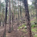 Astana: Burabay Oasis National Park Unforgettable Adventure - The Full-Day Itinerary Breakdown