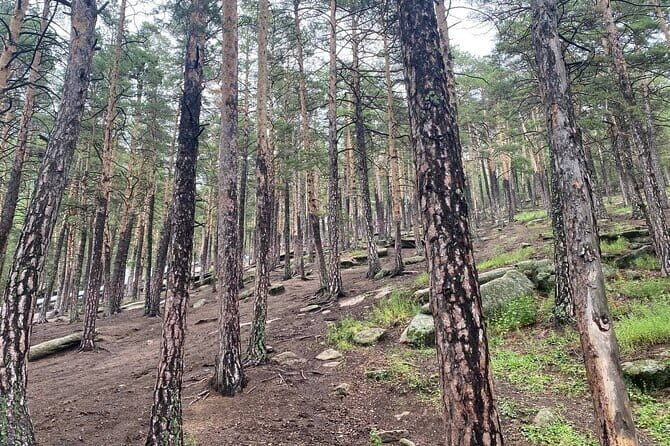 Astana: Burabay Oasis National Park Unforgettable Adventure - The Full-Day Itinerary Breakdown