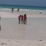 At YOUR Pace Private Tours V.I.P - Nassau, Bahamas - Comfort and Practicalities