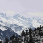 Atal Tunnel Sightseeing Tour Covering Sissu & Solang Valley - The Practicalities: What to Expect