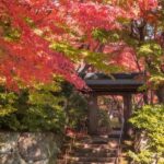 Atami: MOA Museum of Art Admission Package - Who Will Enjoy This Tour?