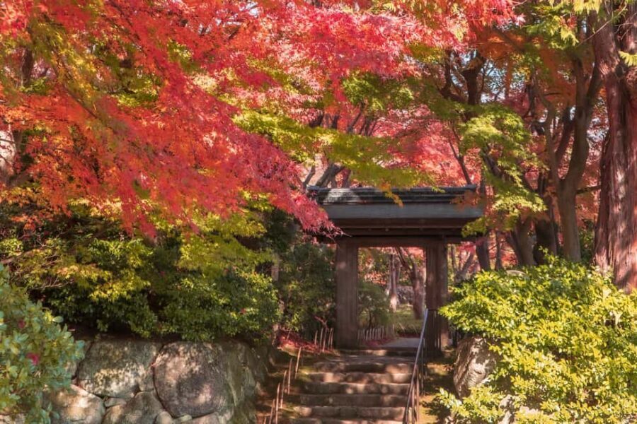 Atami: MOA Museum of Art Admission Package - Who Will Enjoy This Tour?