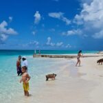 Athol Island Swimming Pigs Half-Day Boat Tour with Lunch - The Piglets of Athol Island