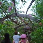 ATV Adventures and Ricks Cafe combo - The Sum Up