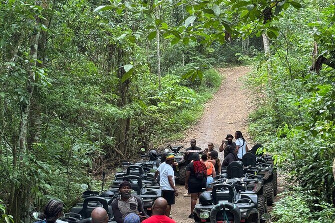 Atv jungle ride in Montego Bay - The Value of This ATV Jungle Ride