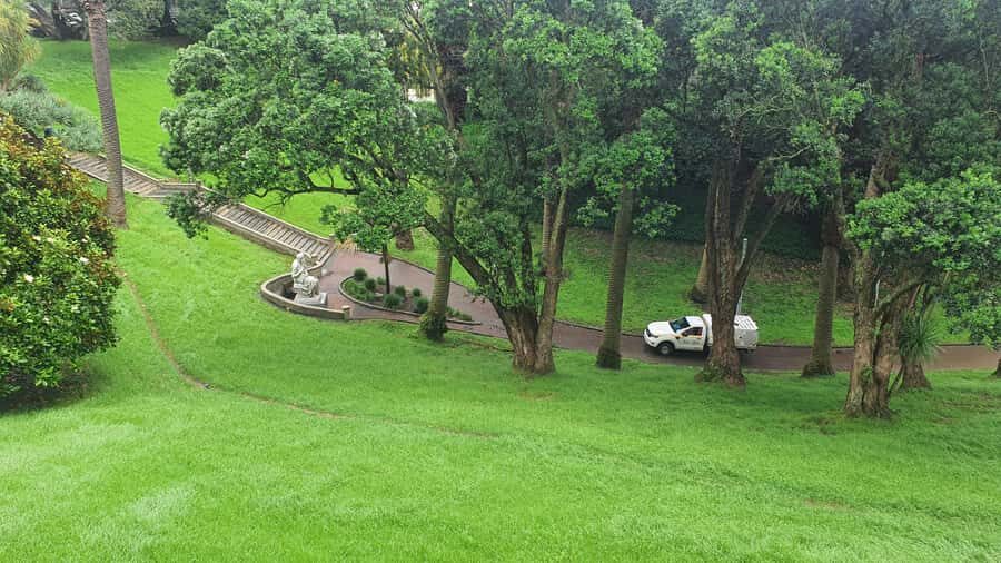 Auckland: Auckland City Tour 4 hours private - Who Would Love This Tour?