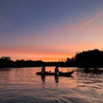 Auckland: Bioluminescence Kayak Tour with Guide - What Sets This Tour Apart