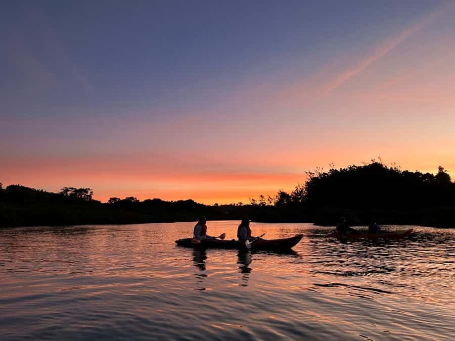 Auckland: Bioluminescence Kayak Tour with Guide - What Sets This Tour Apart