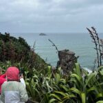 Auckland City and West Coast Black Sand Beach Full Day Tour - A Detailed Breakdown of the Itinerary