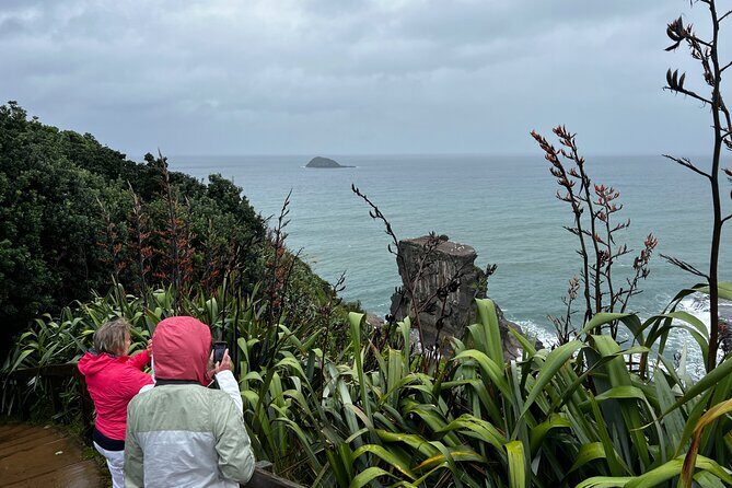 Auckland City and West Coast Black Sand Beach Full Day Tour - A Detailed Breakdown of the Itinerary