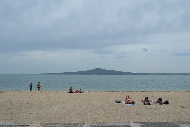 Auckland City Halfday Main Tour - Practical Details and What to Expect