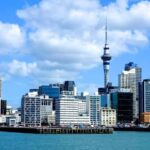 Auckland: City Highlights and Native Forest Experience - Who Is This Tour Best For?